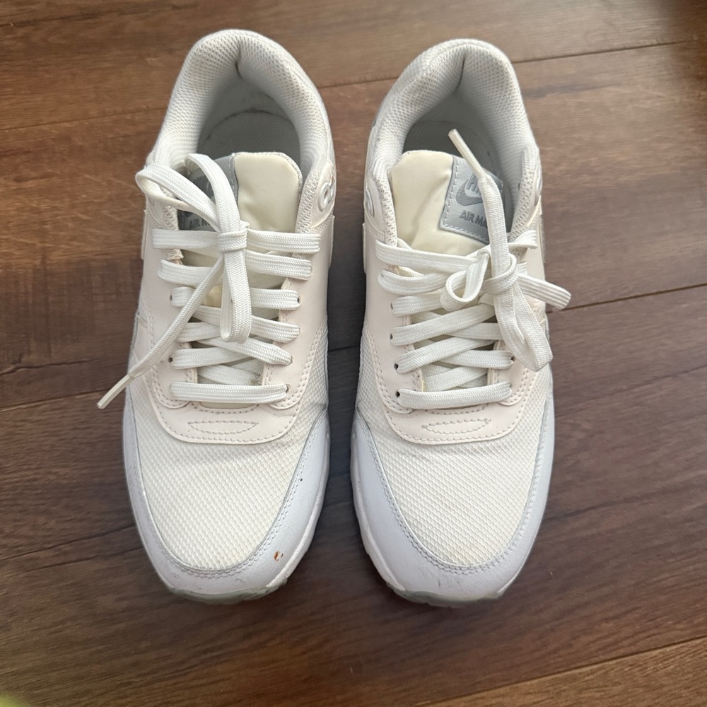 Nike Air Max Beige Color
